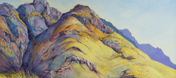 Stetyns Kloof, Hottentots Holland | 2019 | Oil on Canvas | 76 x 101 cm